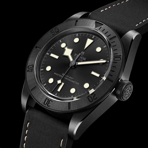 Tudor Black Bay .